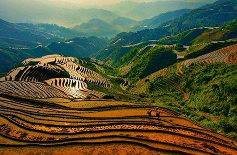 申論熱點：給農(nóng)業(yè)文化遺產(chǎn)更多關注